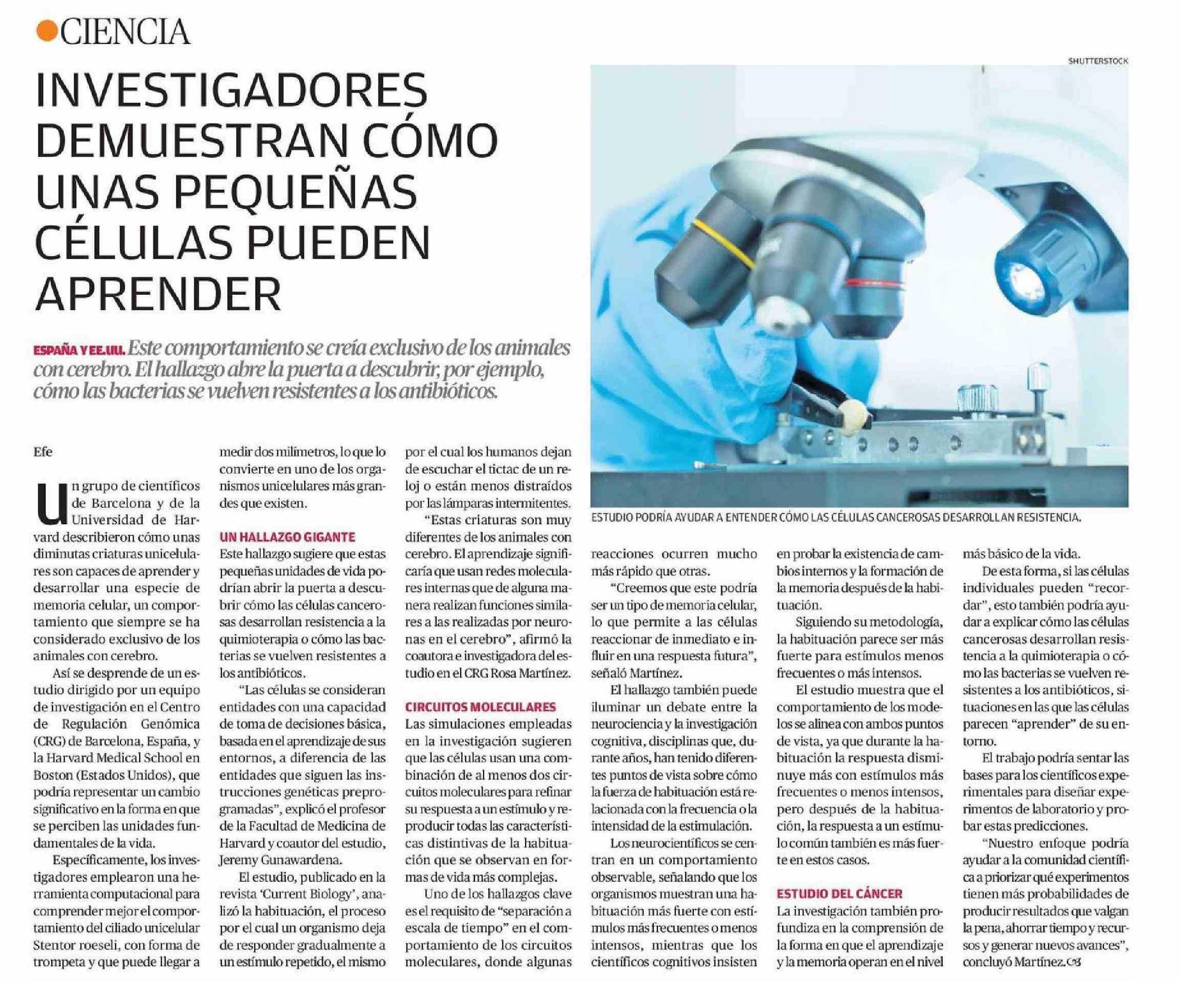 https://www.litoralpress.cl/paginaconsultas/Servicios_NClipDocumentos/Get_Imagen_Nota.aspx?LPKey=AWXQZCQ3LZ7K5B45BQXN6D6DUZJTO3YVMUHNFME3QBAVSTPI7Z33UI3WZUWHVLAZJJQF32WFTFFMS