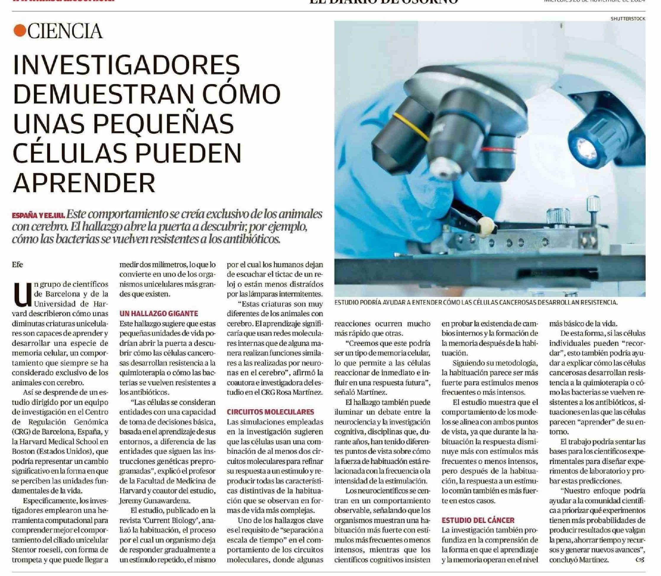 https://www.litoralpress.cl/paginaconsultas/Servicios_NClipDocumentos/Get_Imagen_Nota.aspx?LPKey=WPCLUSZKRSLDLP7P6KS7Z6UXBQ3IJANRFH45ZM5JP7L33MP3WTD66VVNMDTSNDENZBWF6OPUQUDUW